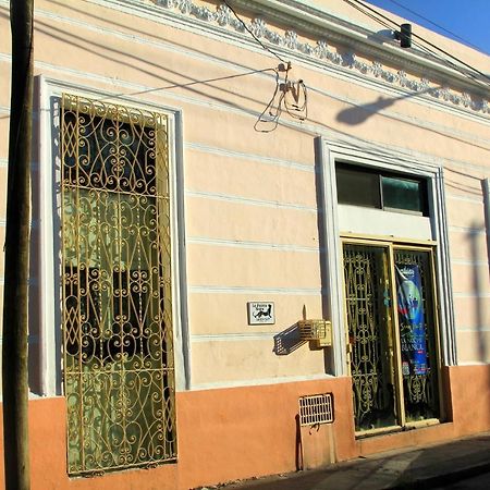 La Pantera Negra Bed & Breakfast Мерида Екстериор снимка