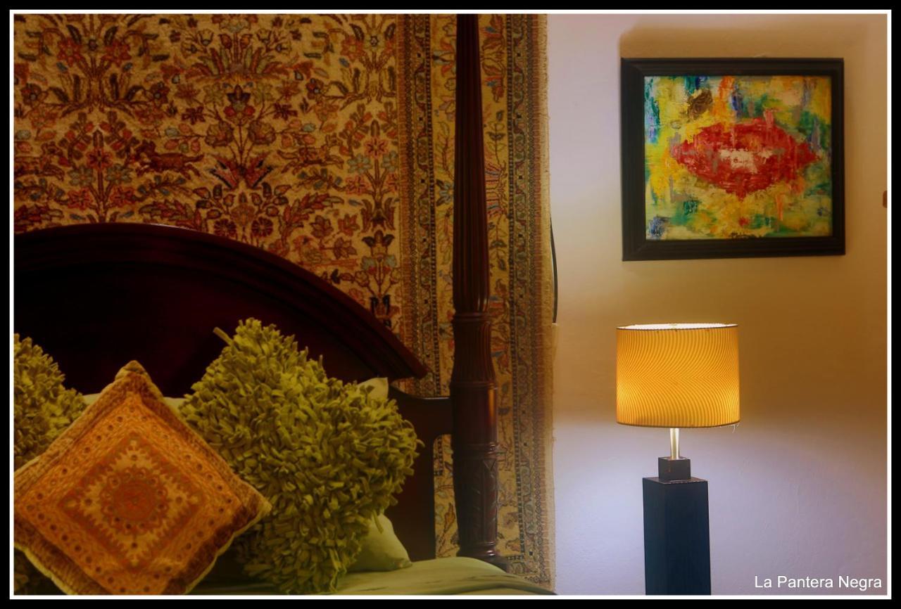 La Pantera Negra Bed & Breakfast Мерида Екстериор снимка