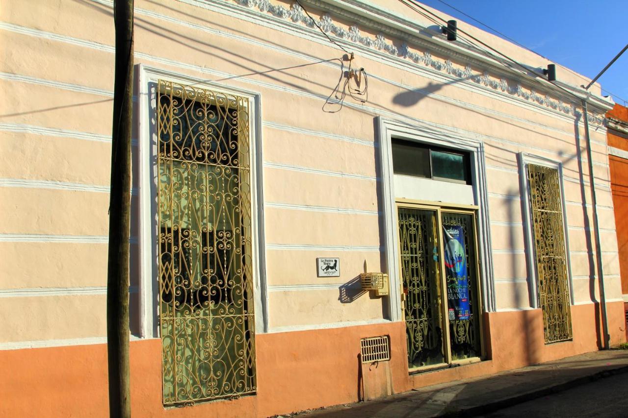 La Pantera Negra Bed & Breakfast Мерида Екстериор снимка