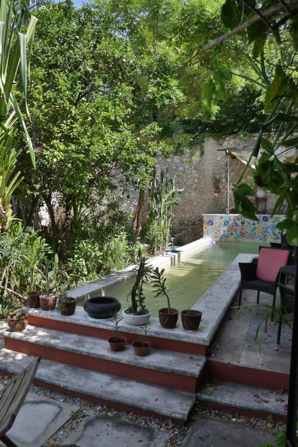 La Pantera Negra Bed & Breakfast Мерида Екстериор снимка
