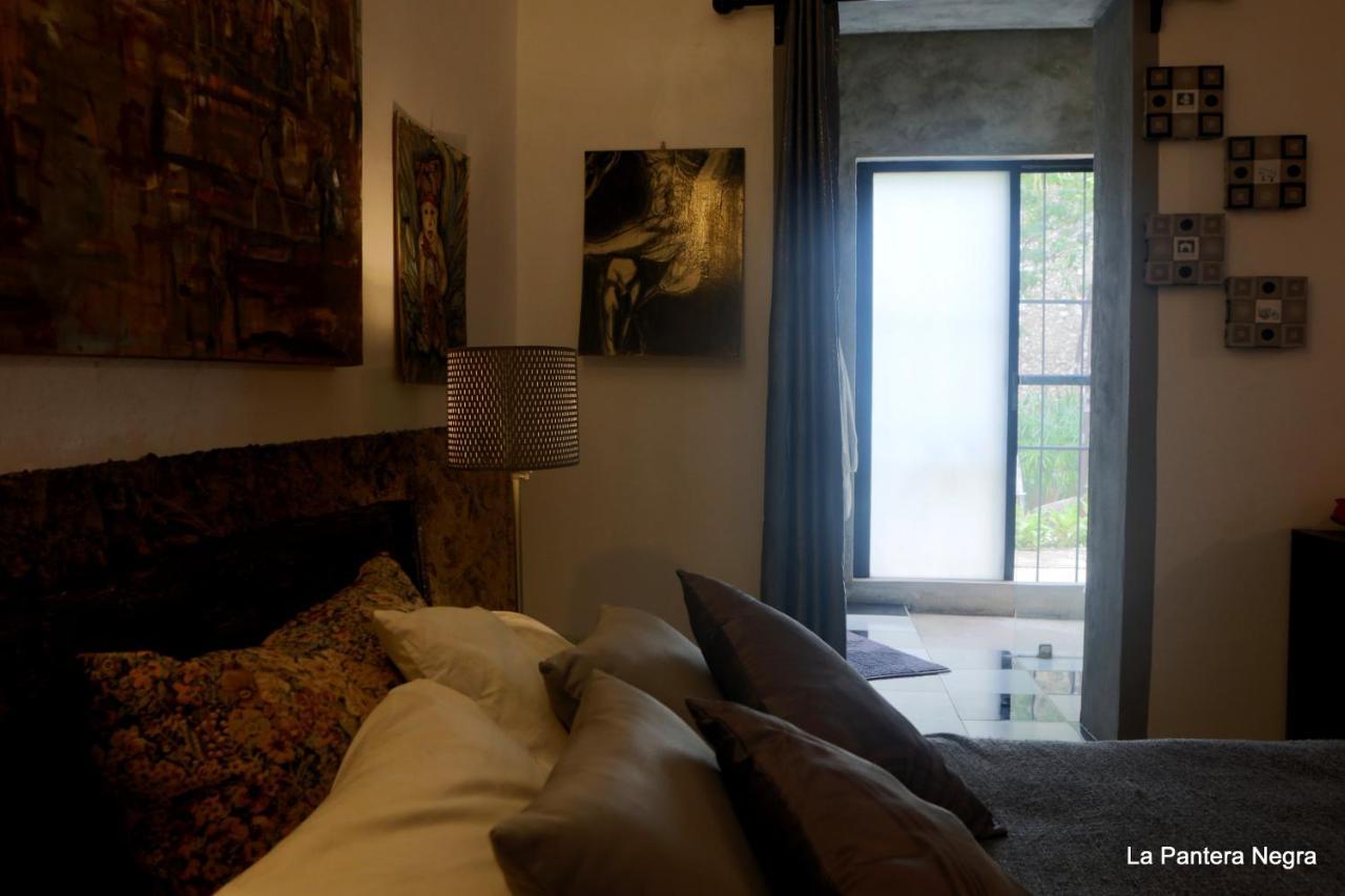 La Pantera Negra Bed & Breakfast Мерида Екстериор снимка